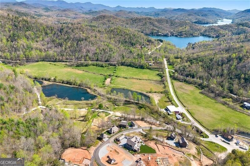 60 Cove View Lane Clarkesville - 42