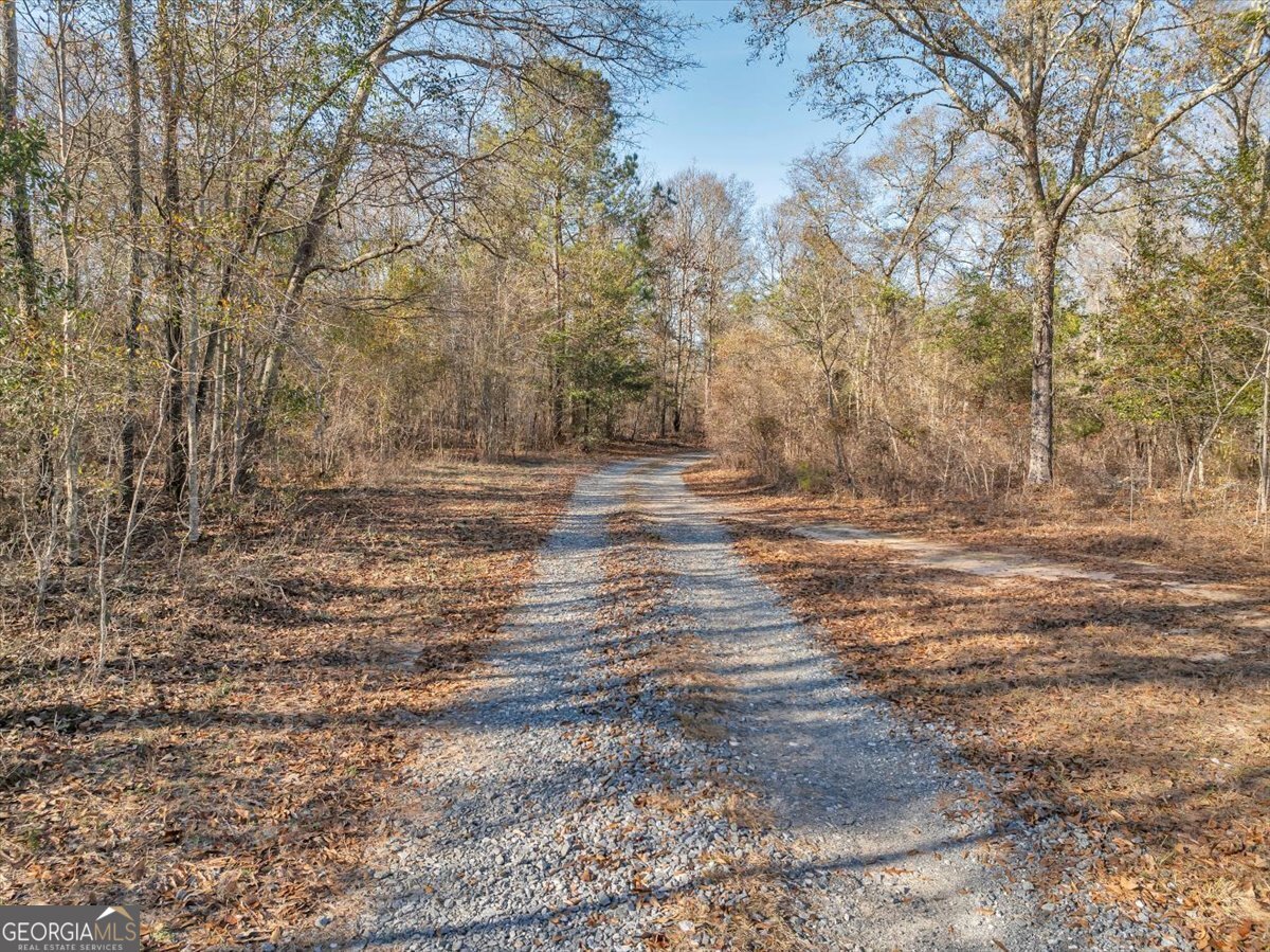 2050 Bible Camp Road Byron - 69