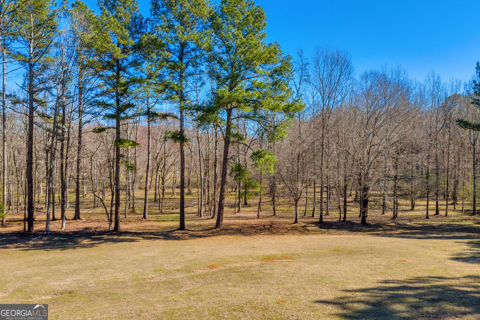 599 Double Branch Road Danielsville - 69