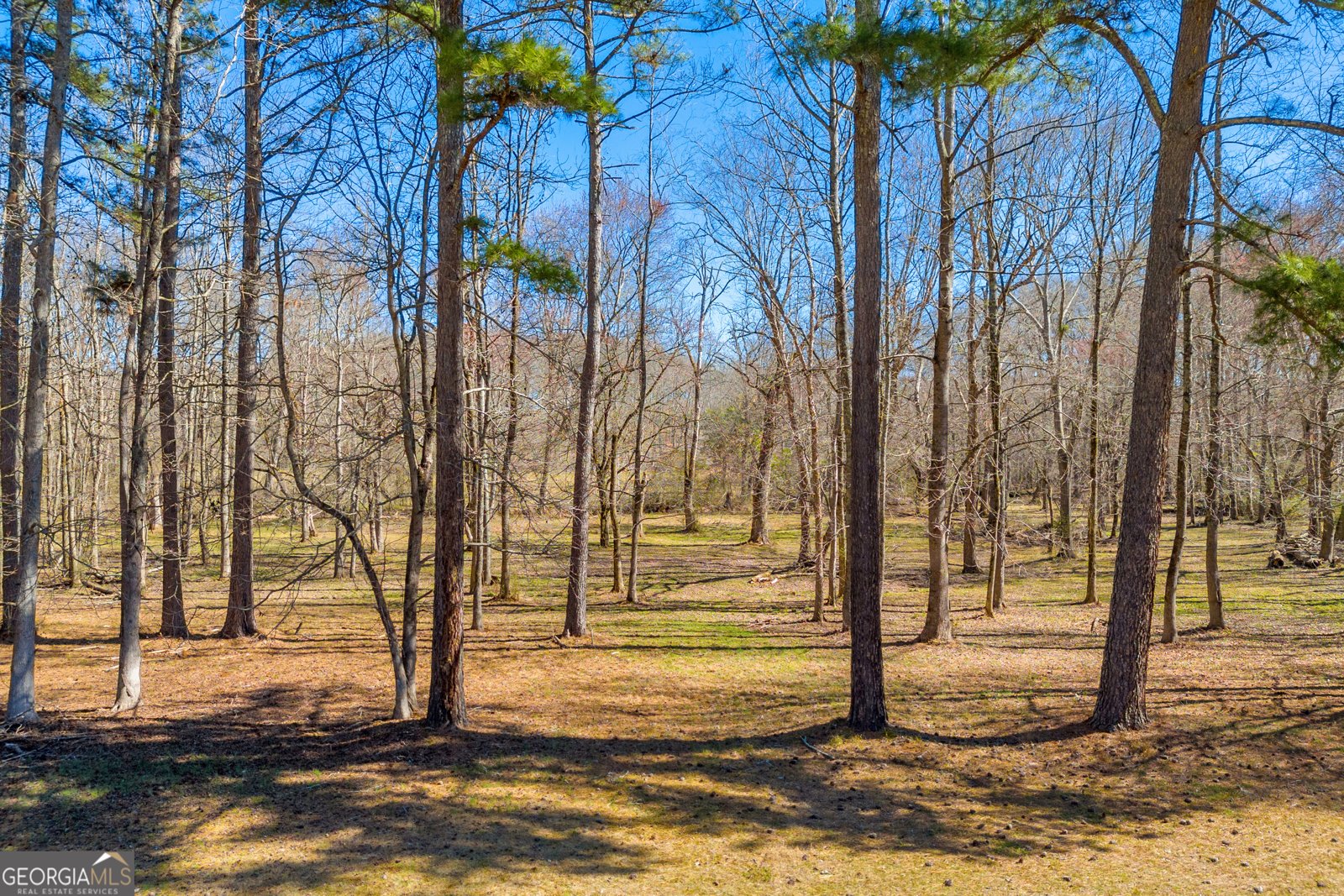599 Double Branch Road Danielsville - 71