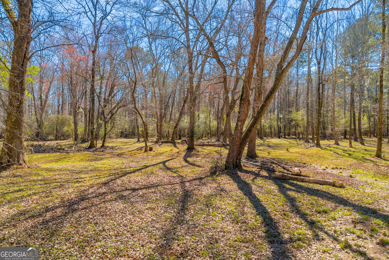 599 Double Branch Road Danielsville - 73