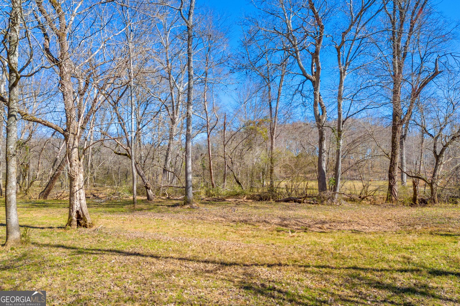 599 Double Branch Road Danielsville - 74