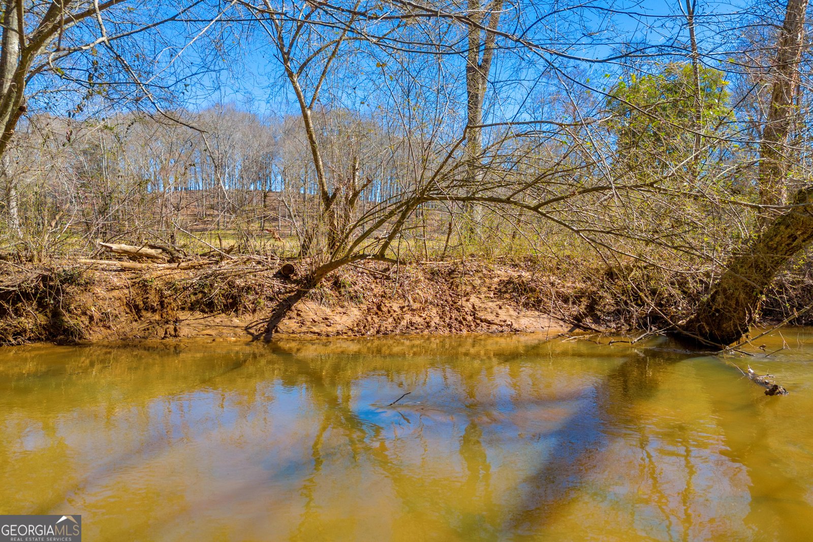 599 Double Branch Road Danielsville - 76