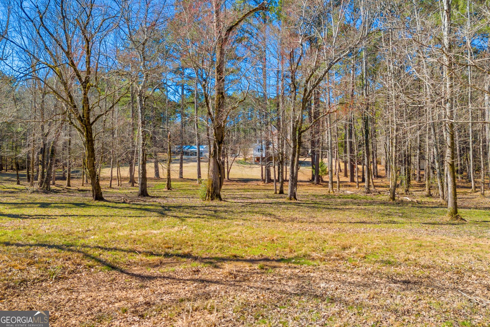 599 Double Branch Road Danielsville - 77