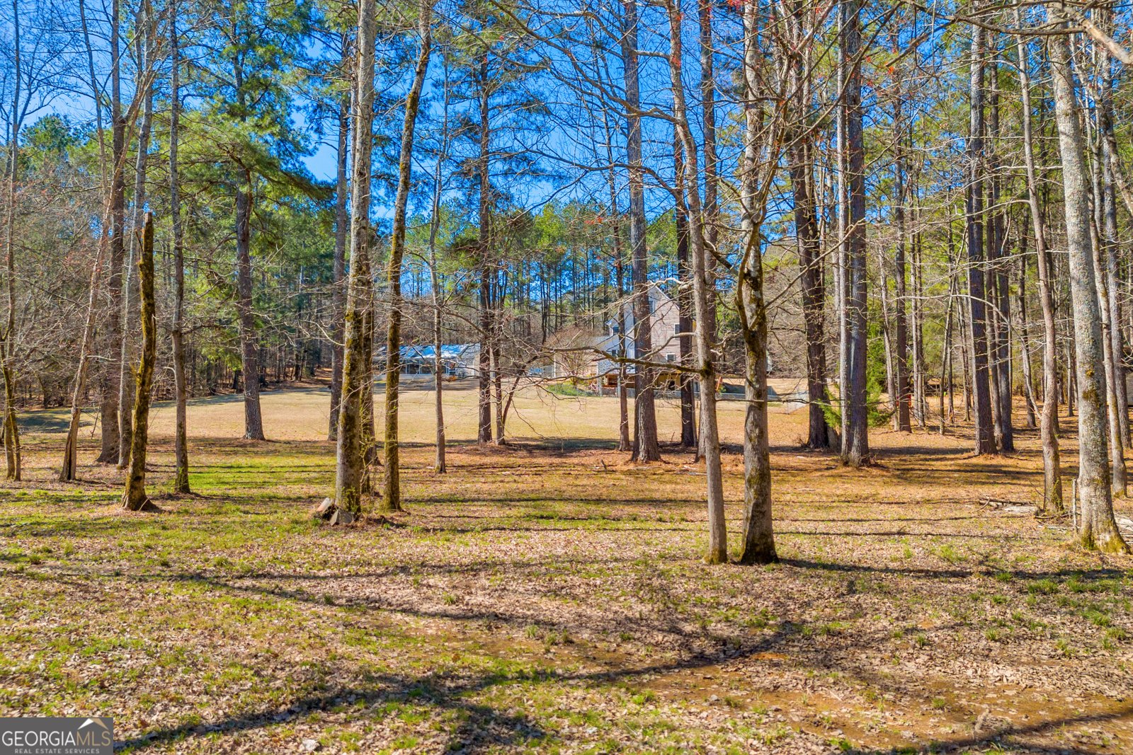 599 Double Branch Road Danielsville - 78