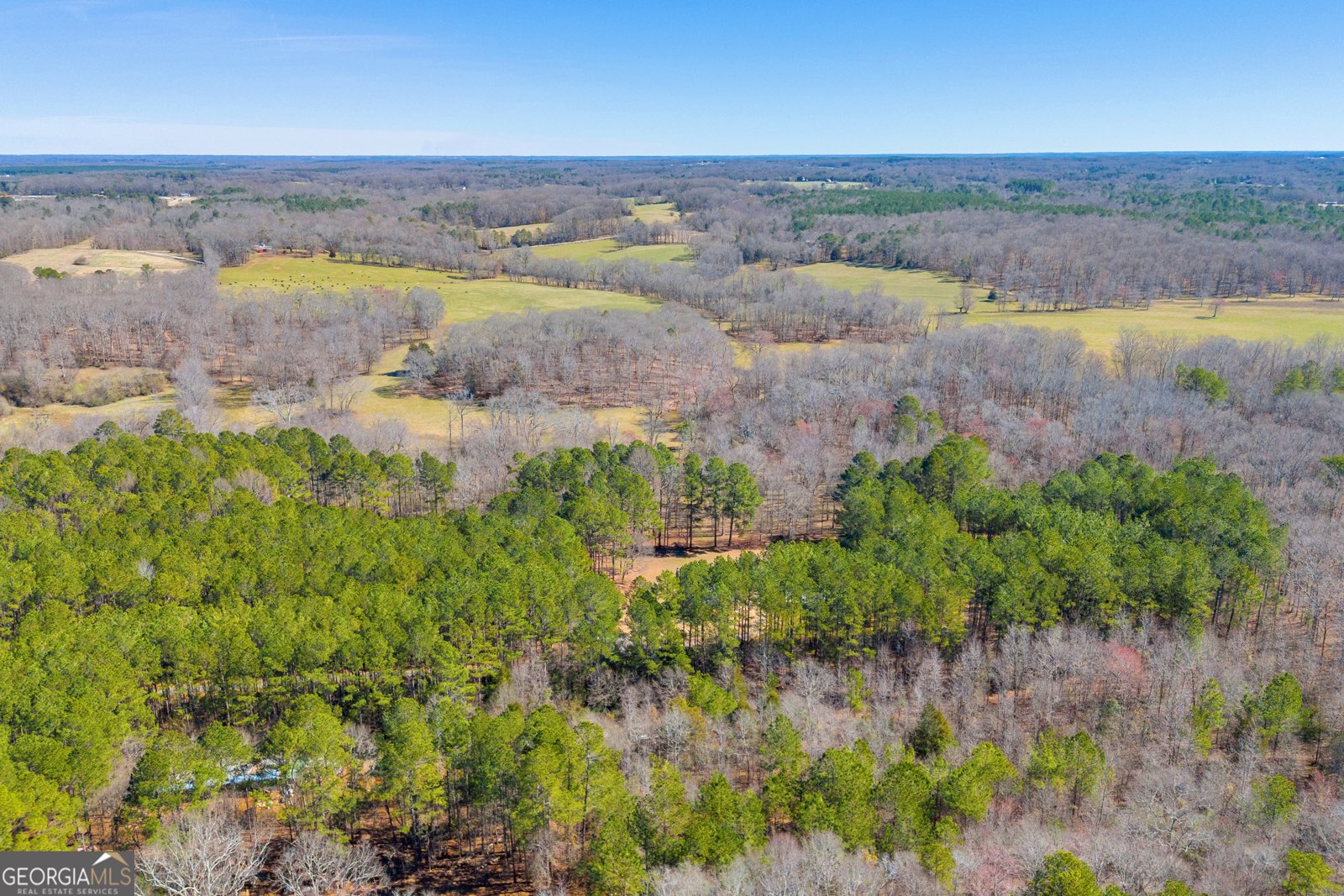 599 Double Branch Road Danielsville - 82