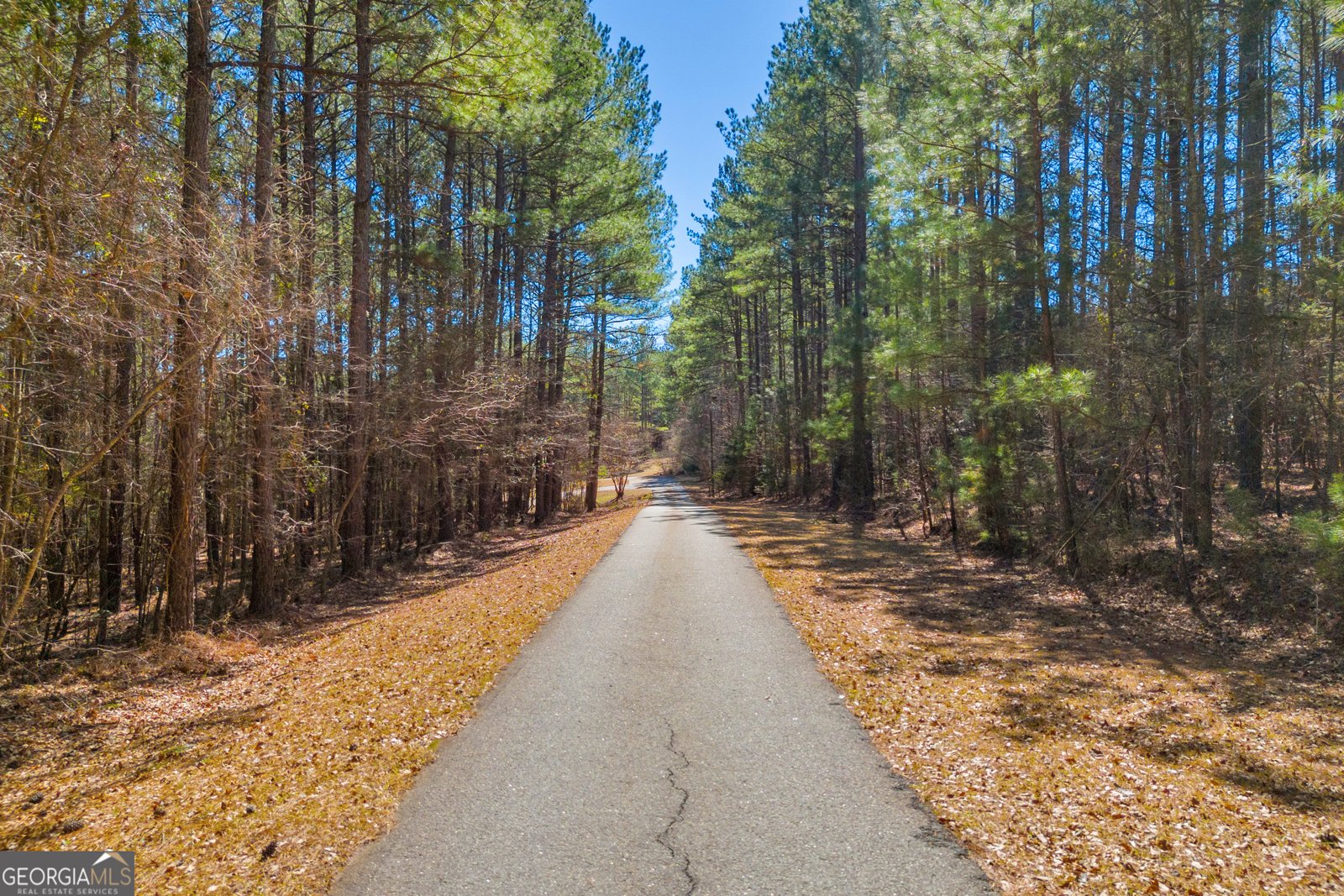 599 Double Branch Road Danielsville - 94