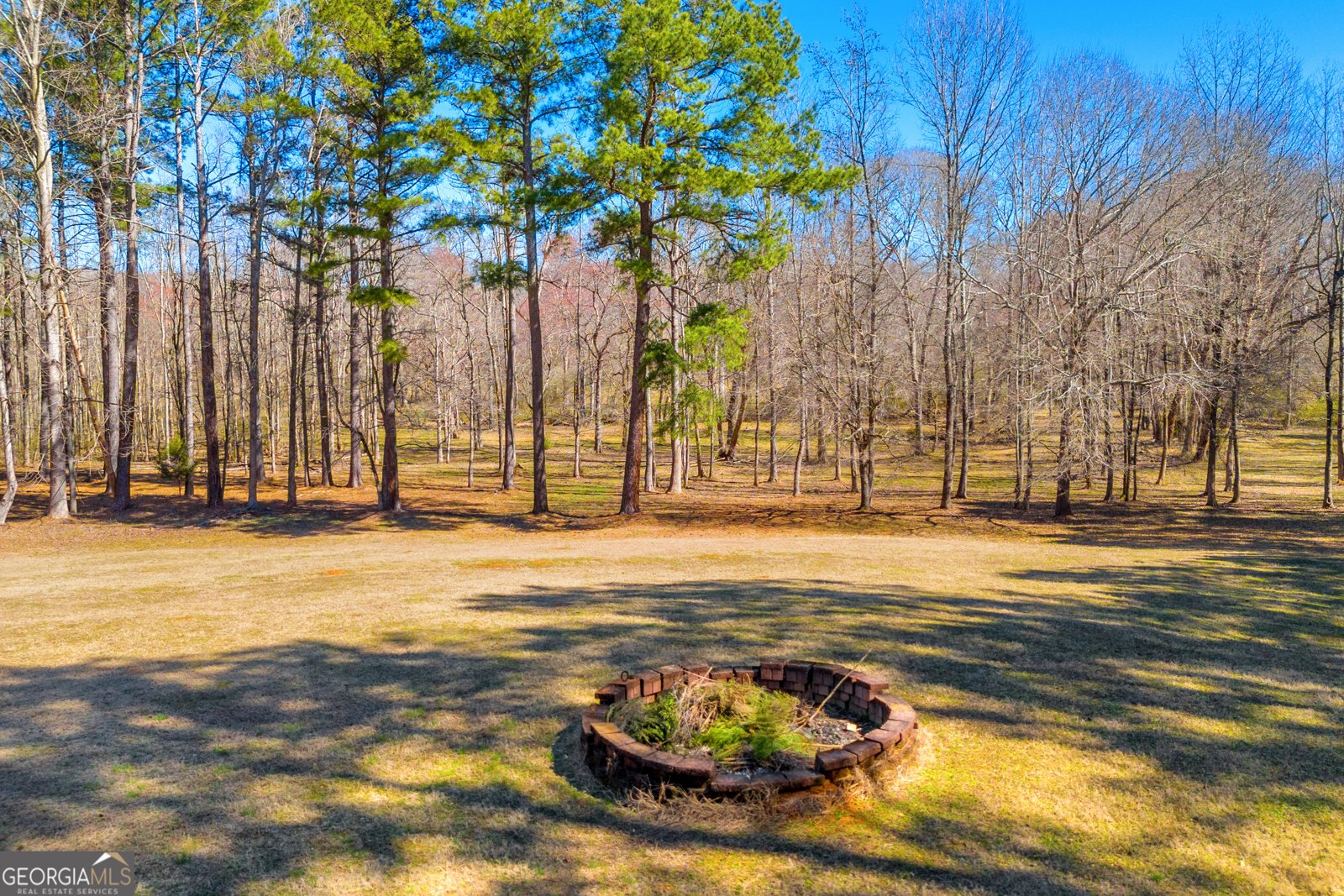 599 Double Branch Road Danielsville - 98