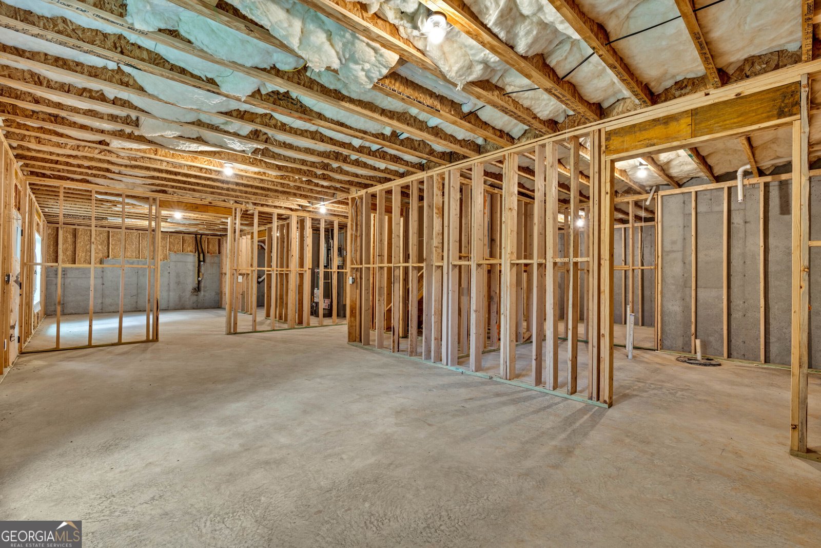 3677 Thornhill Court Douglasville - 37