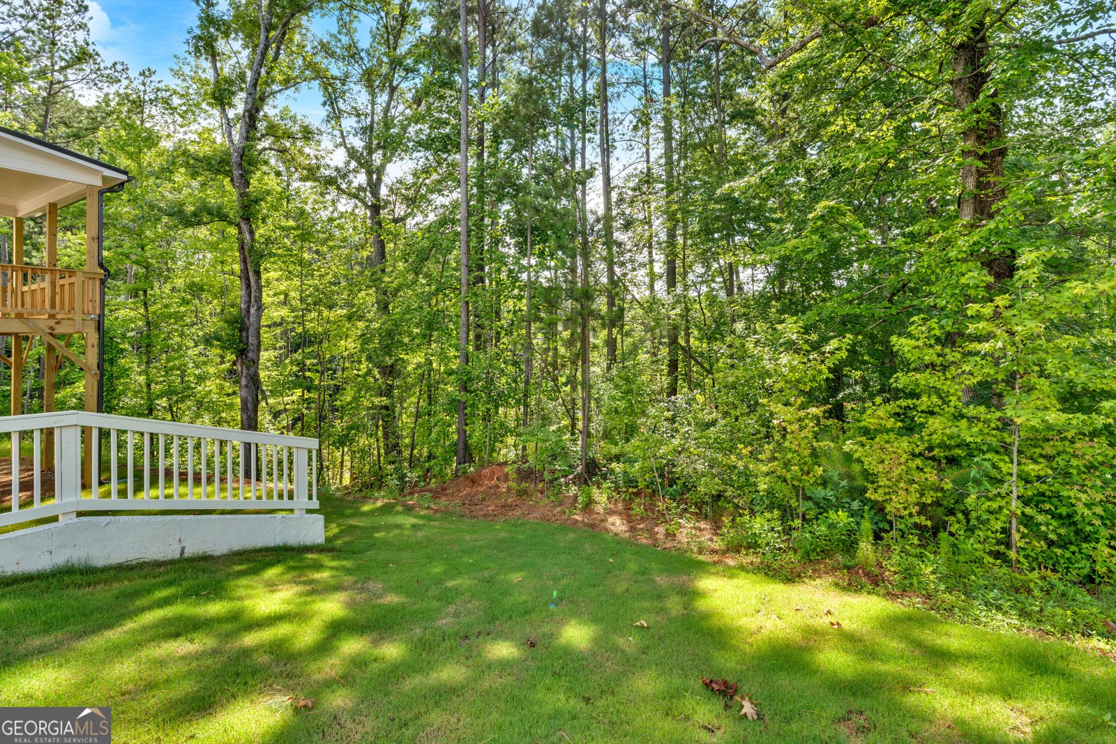 3677 Thornhill Court Douglasville - 38