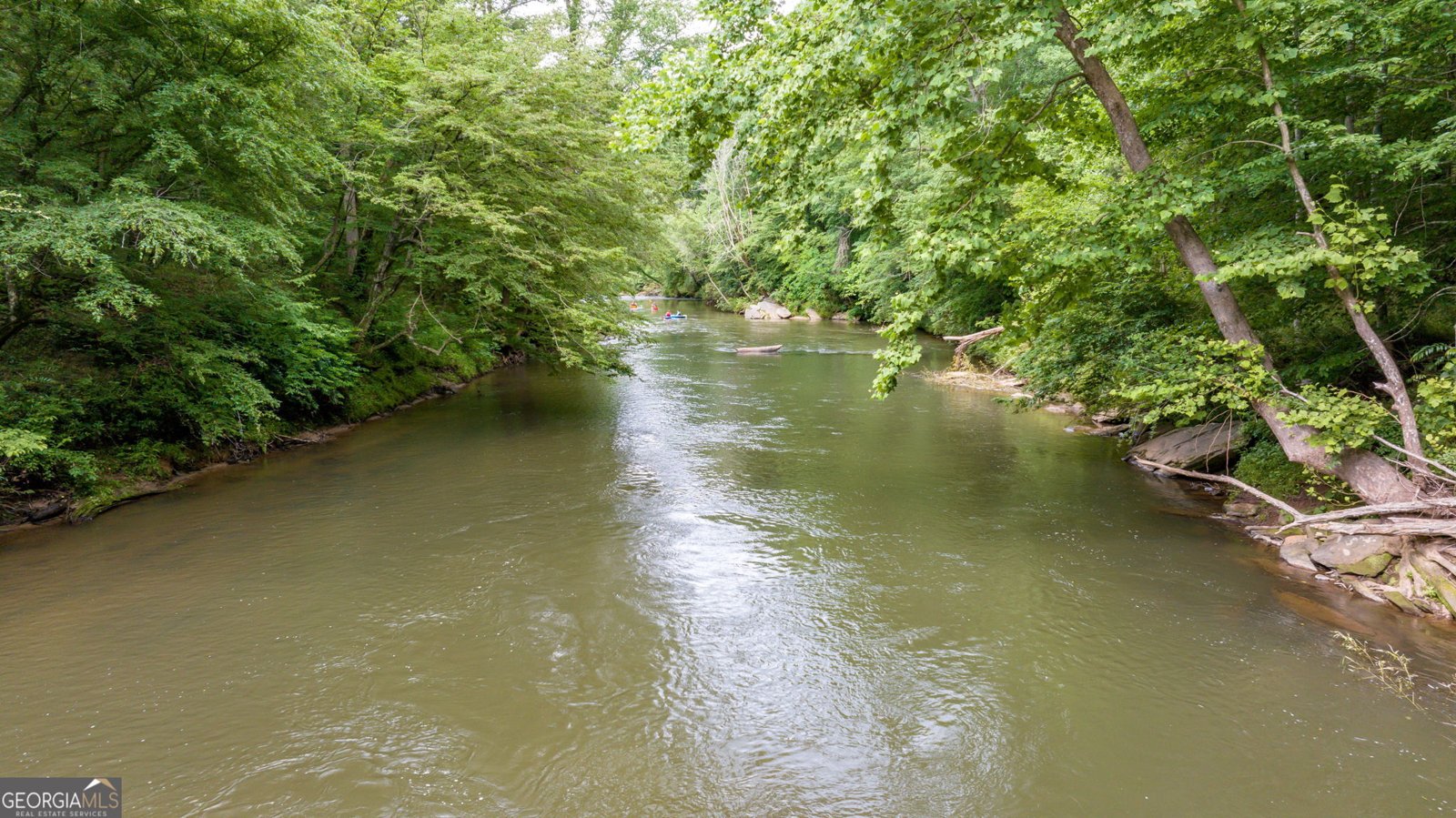 934 Golden Avenue Dahlonega - 44