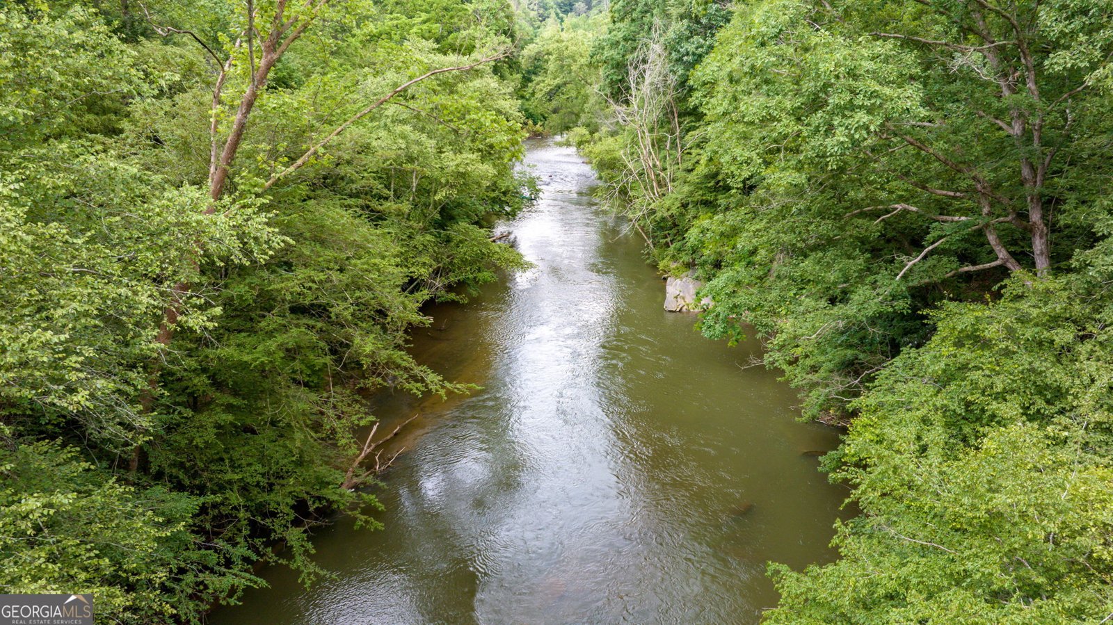 934 Golden Avenue Dahlonega - 46