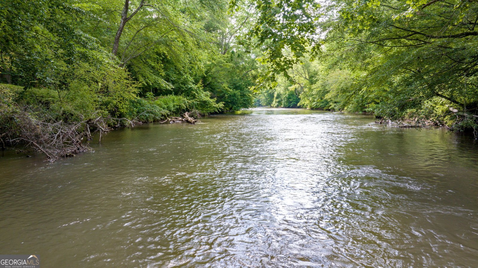 934 Golden Avenue Dahlonega - 48
