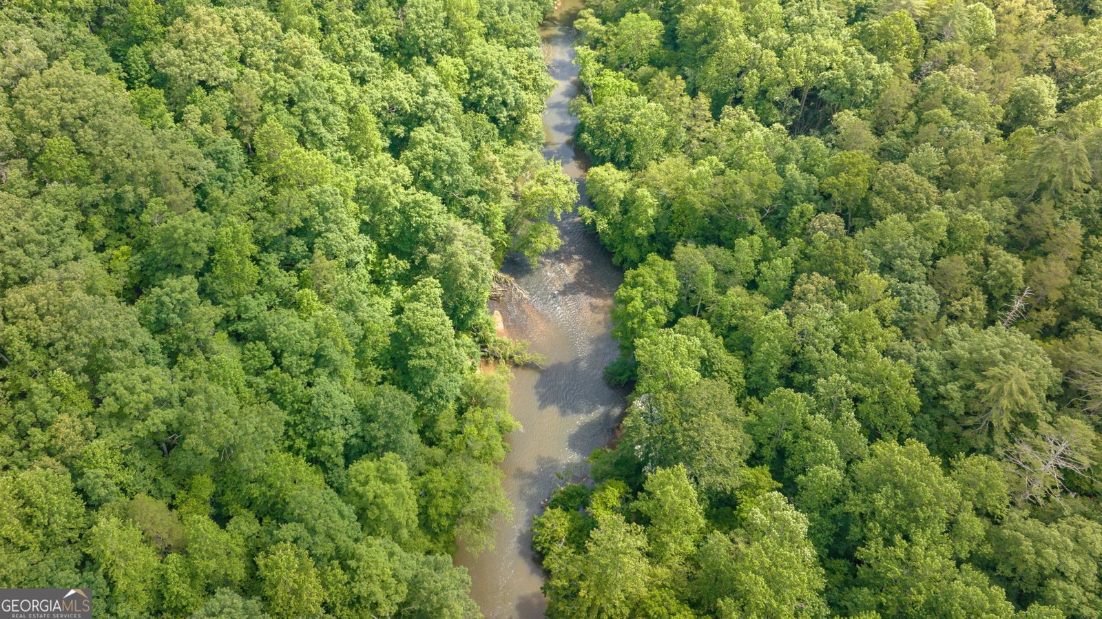 934 Golden Avenue Dahlonega - 54