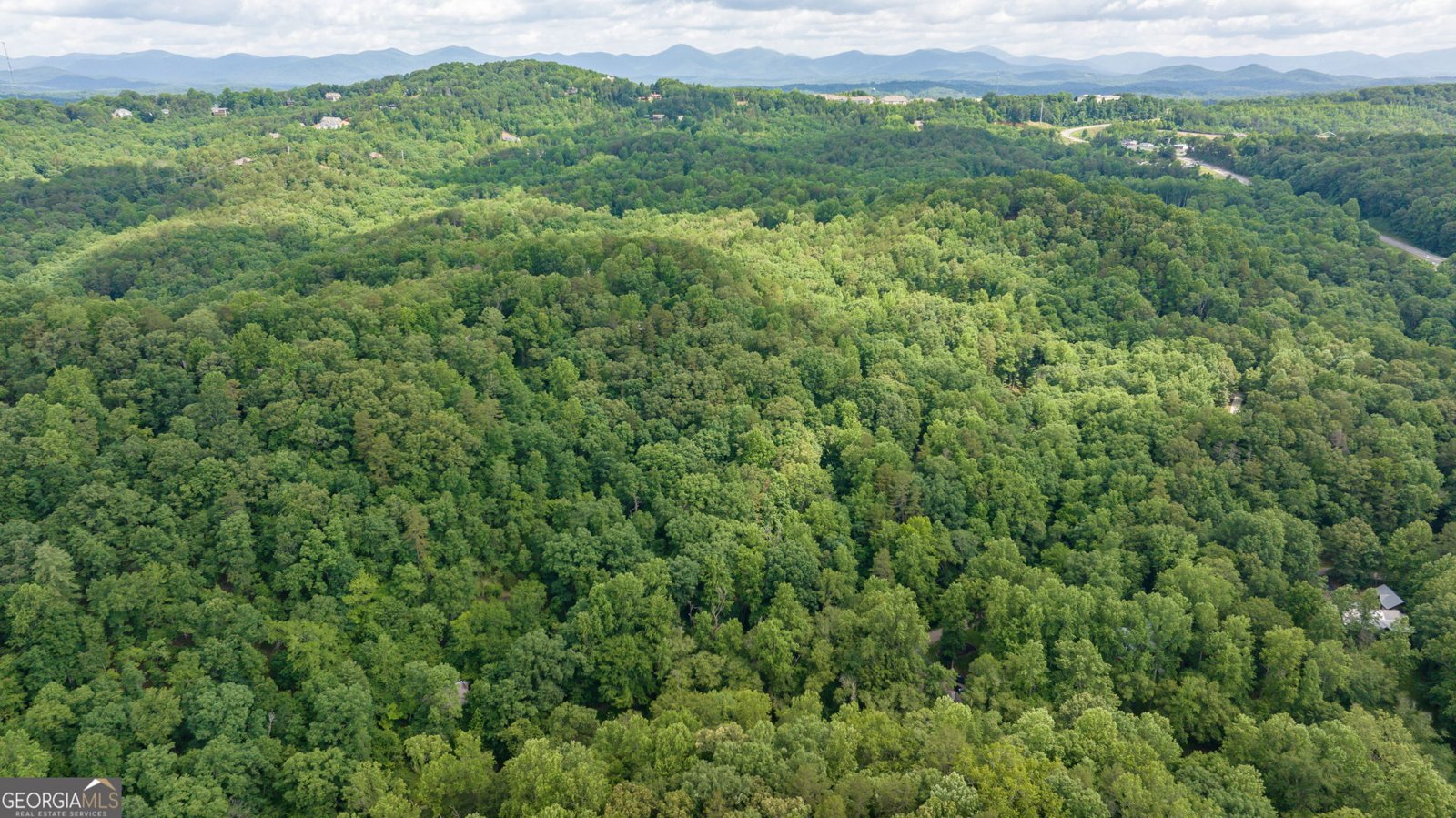 934 Golden Avenue Dahlonega - 59