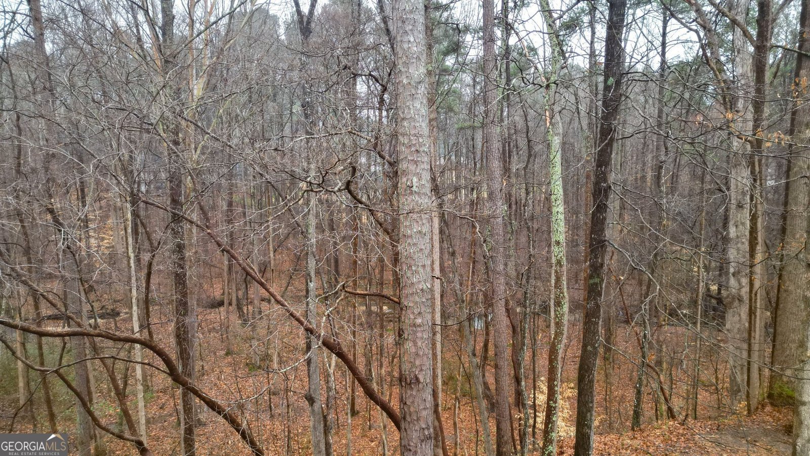 492 Broadstone Way Acworth - 12