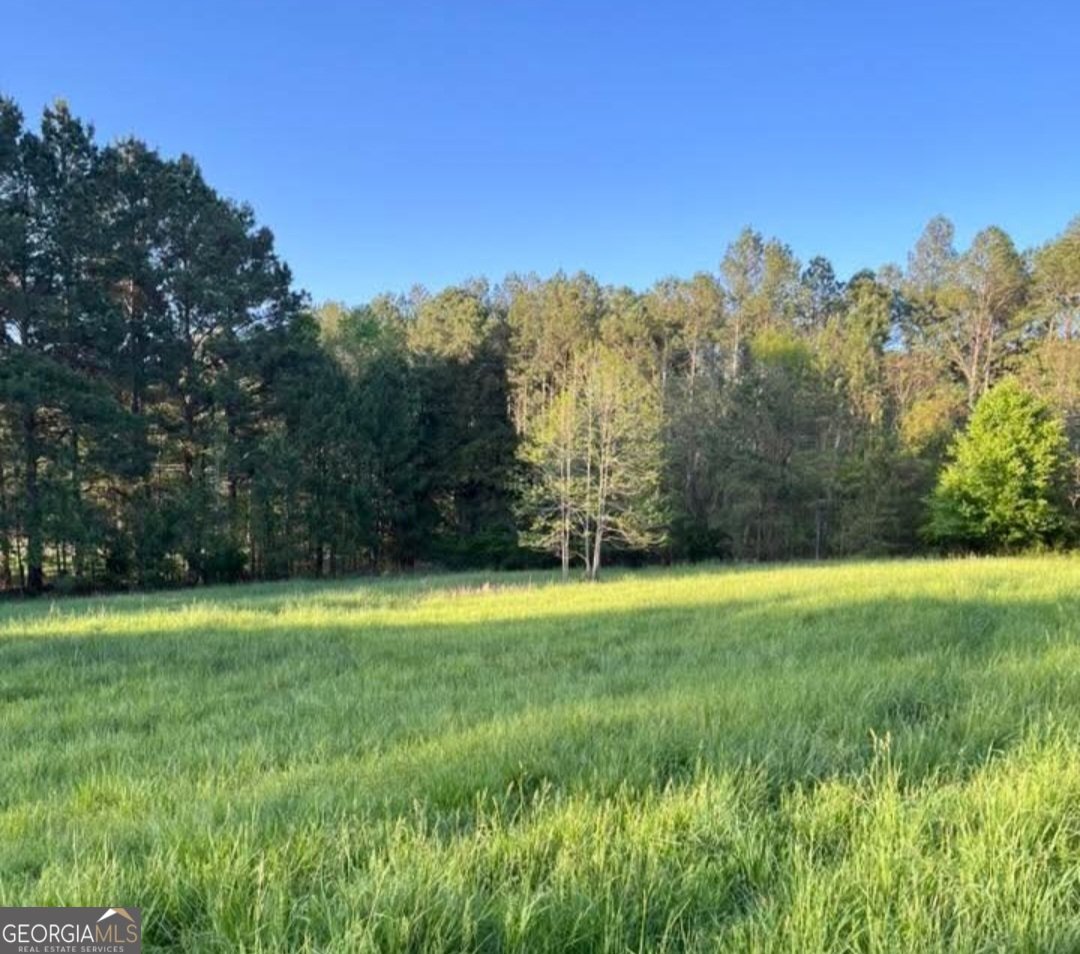 4000 Bostwick Highway Madison - 11