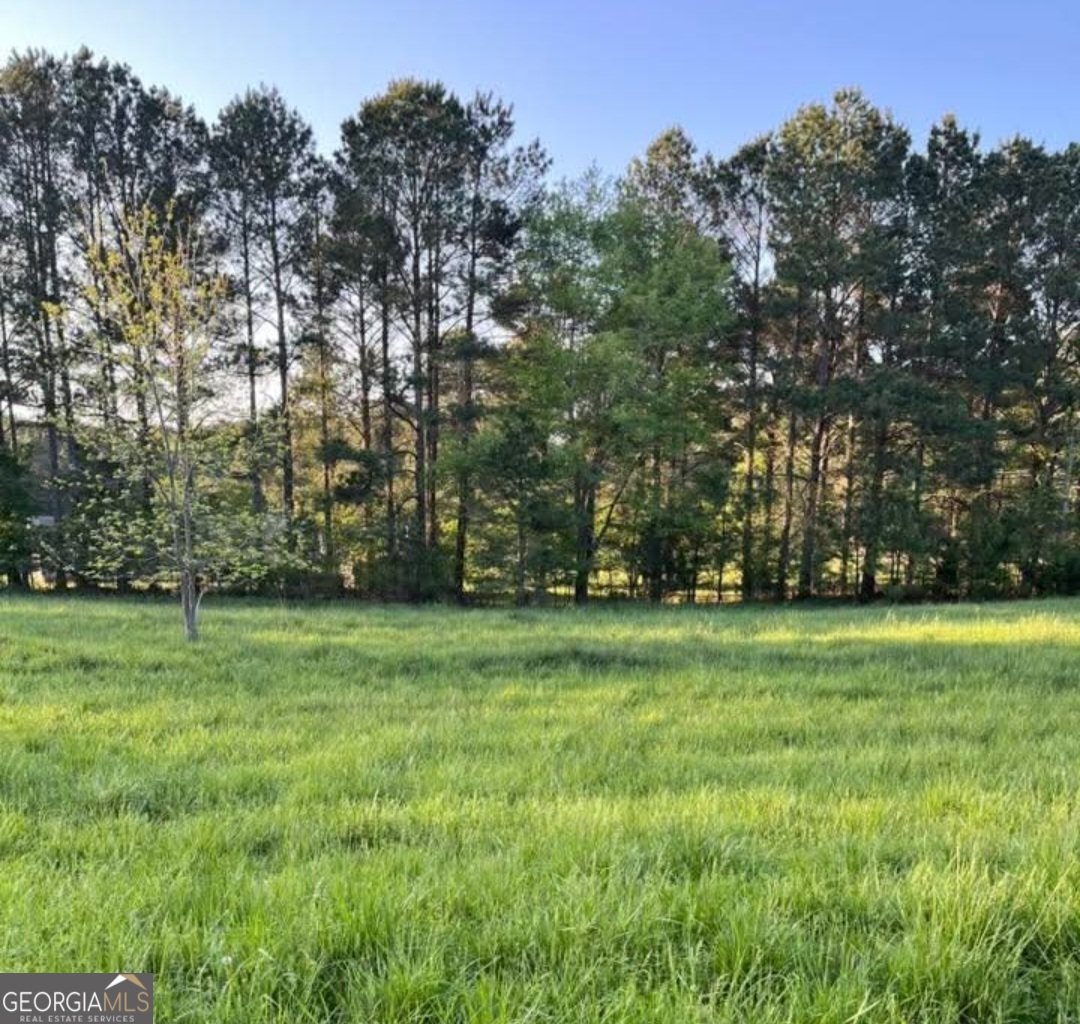 4000 Bostwick Highway Madison - 12