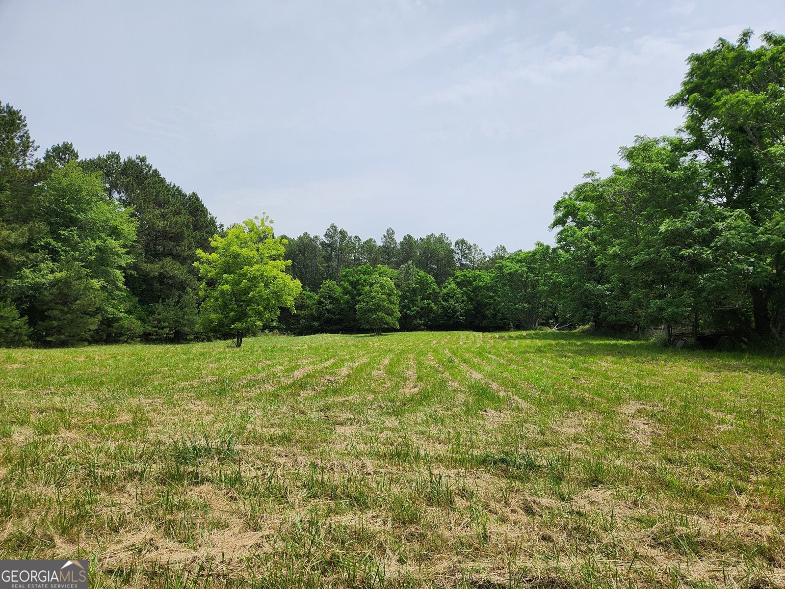 4000 Bostwick Highway Madison - 15