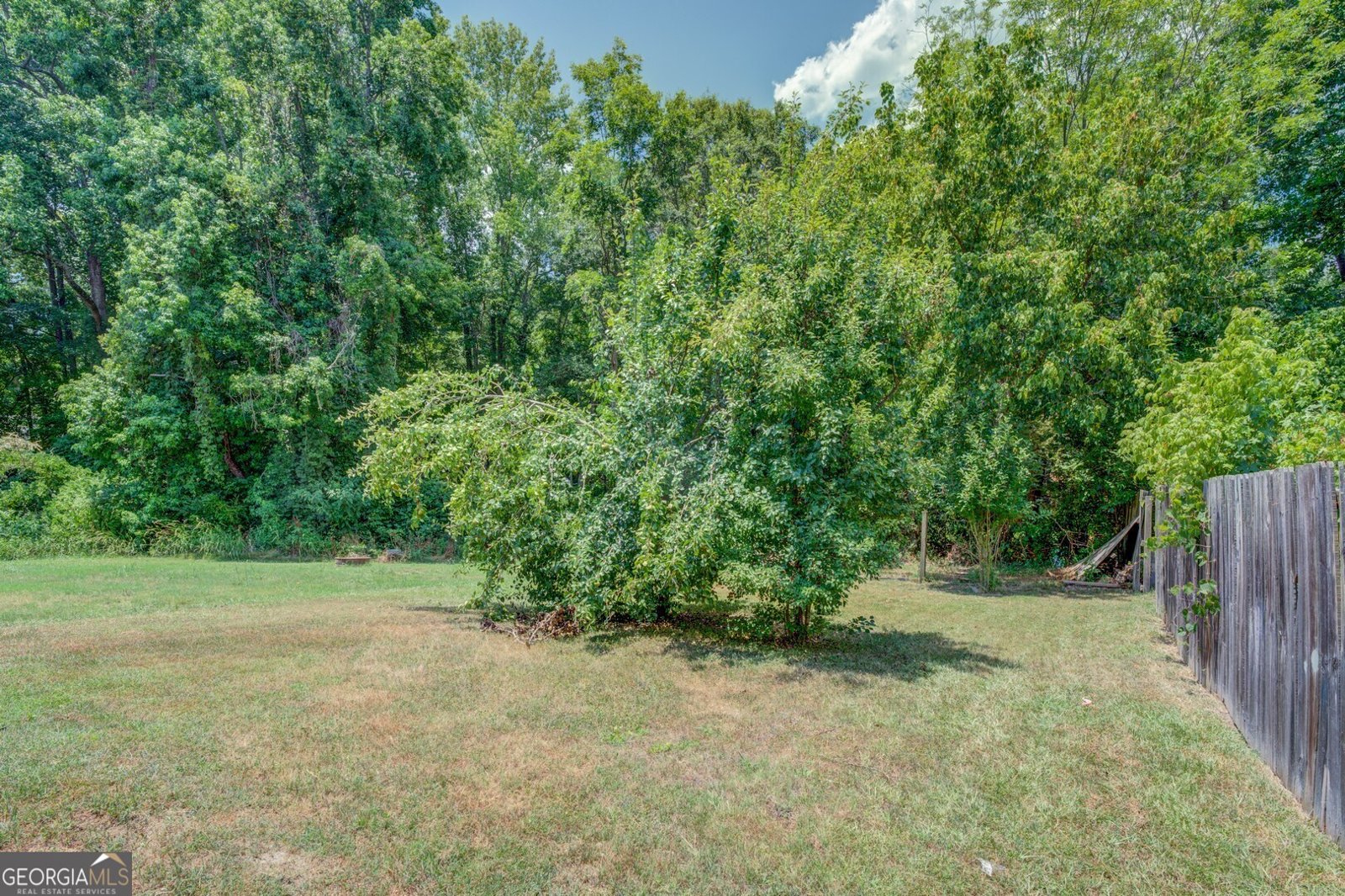 687 Chestnut Drive Jackson - 3