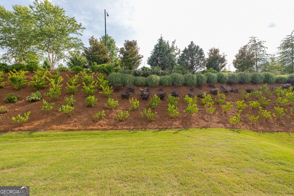 5517 Oak Knoll Court Hoschton - 2