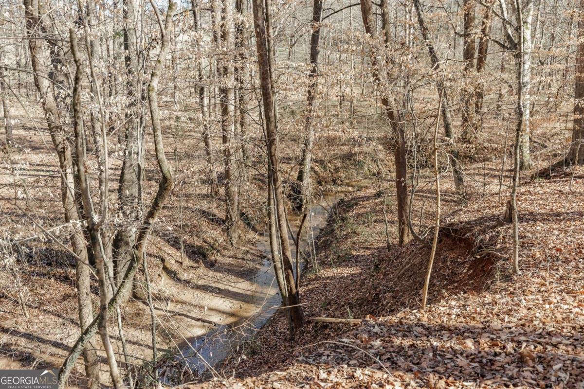 218 Thornhill Drive Athens - 48