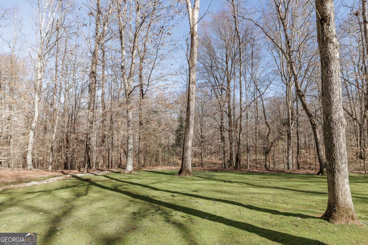 218 Thornhill Drive Athens - 49