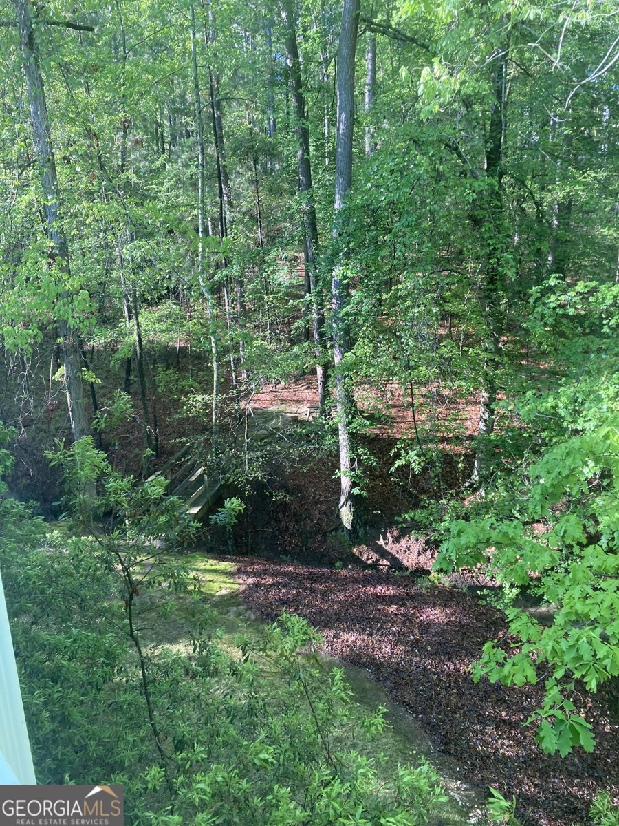 1020 Troublesome Creek Lane Greensboro - 53