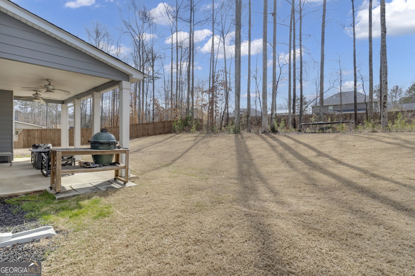 400 Mulberry Drive Senoia - 47