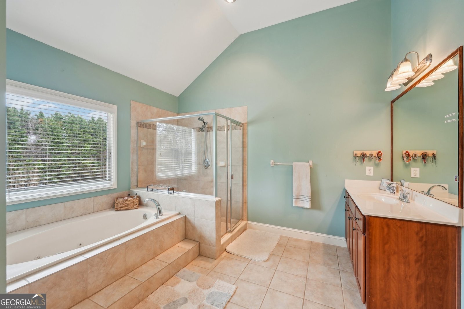 4740 Arbor Meadows Drive Cumming - 17