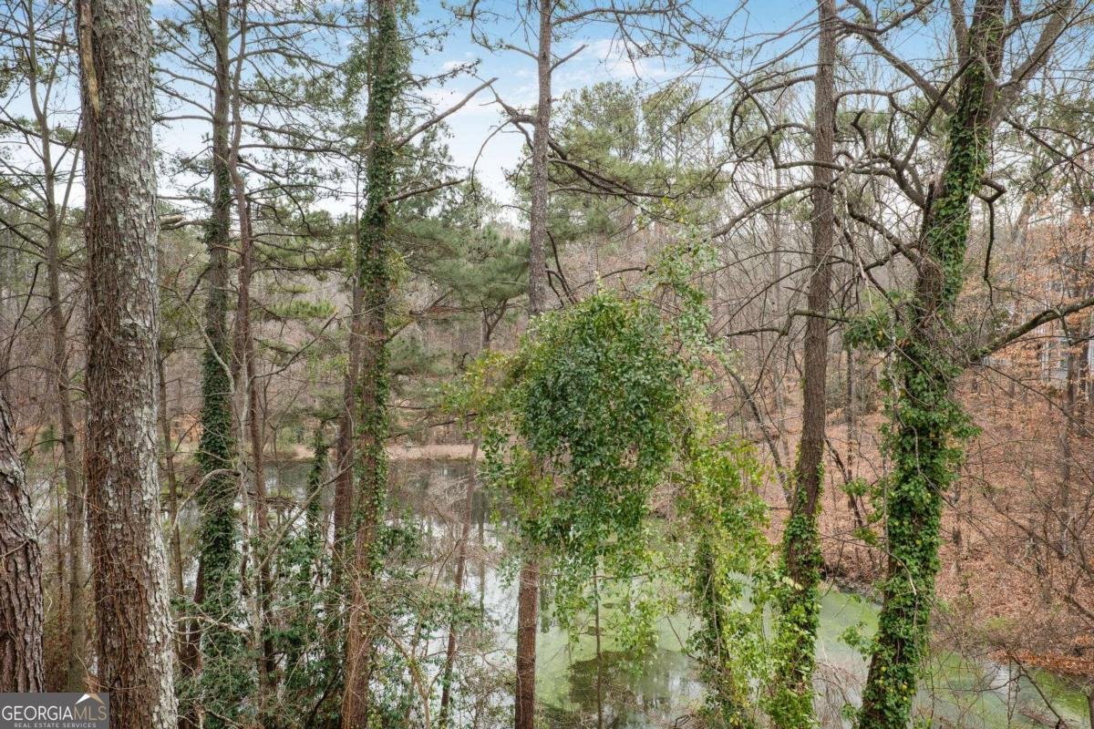 1205 Gettysburg Place Sandy Springs - 10