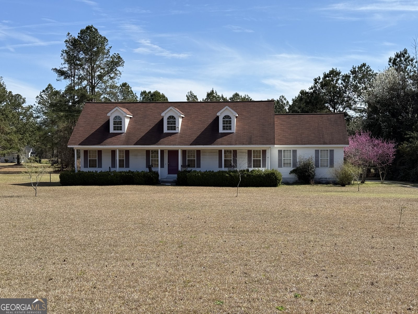 9546 Union Road Metter - 1