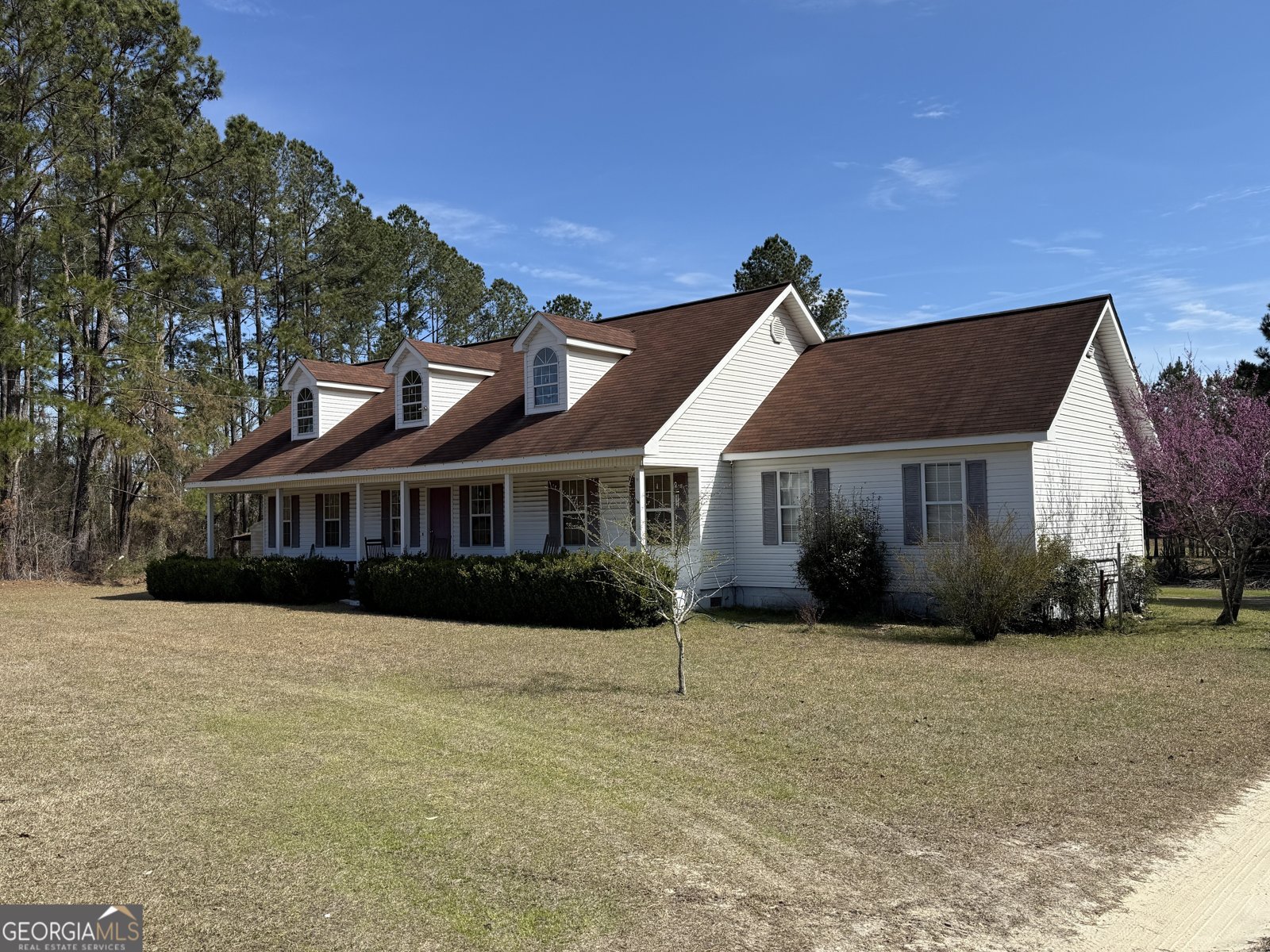 9546 Union Road Metter - 4