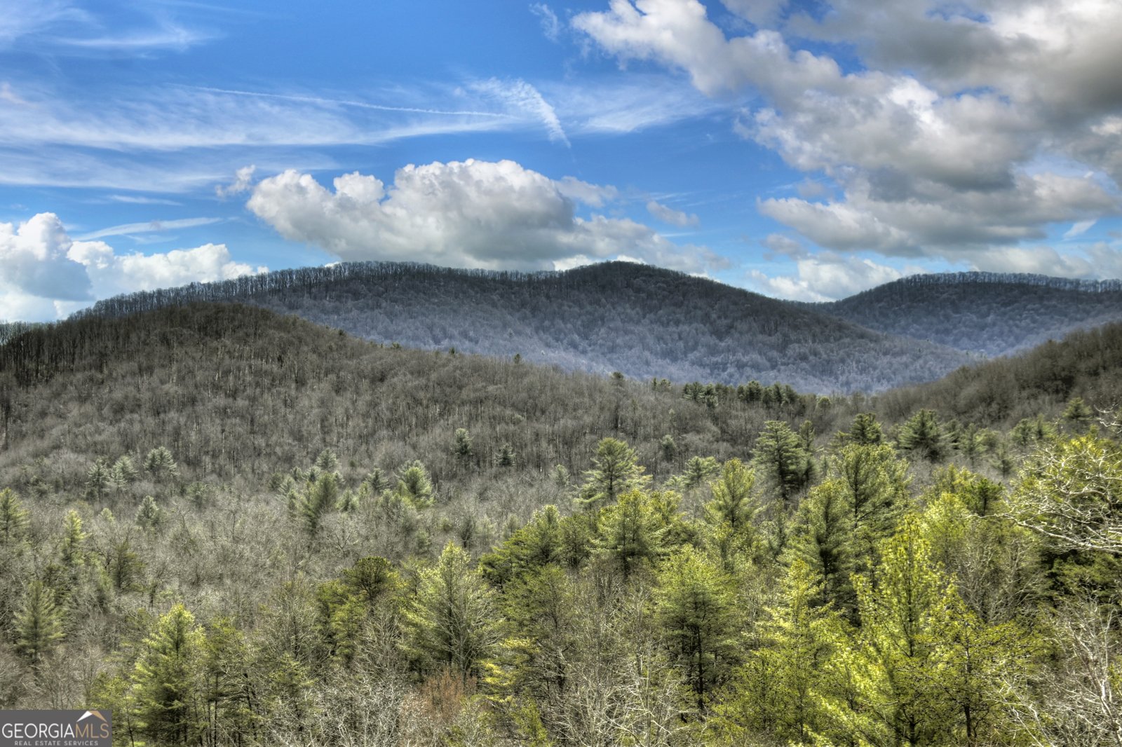 85 Foster Cove Road Blue Ridge - 40