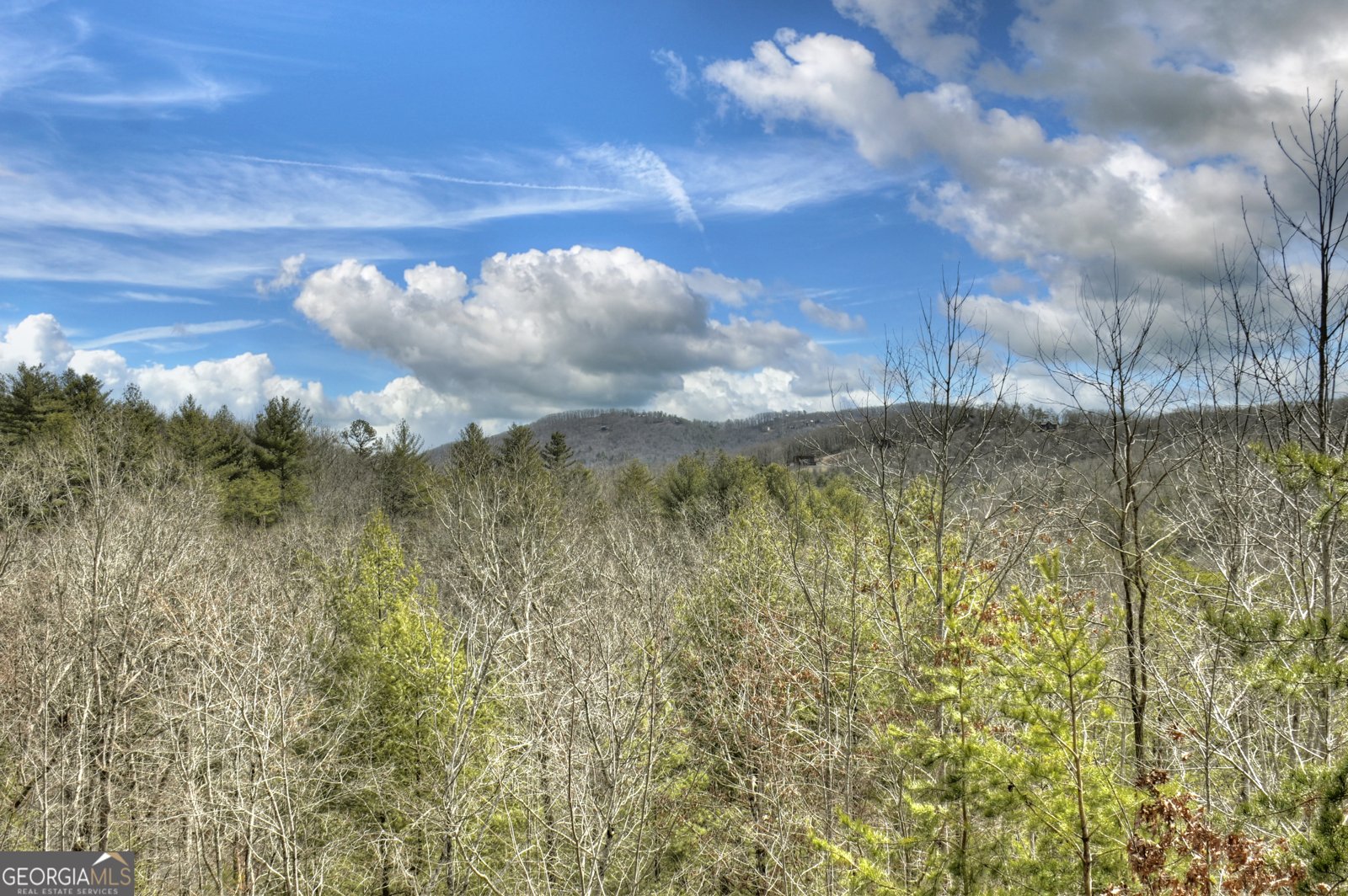 85 Foster Cove Road Blue Ridge - 41