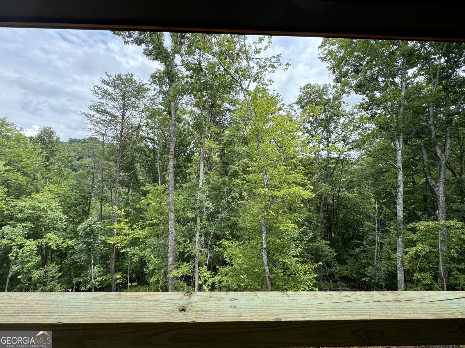 61 River Retreat Road Blue Ridge - 14