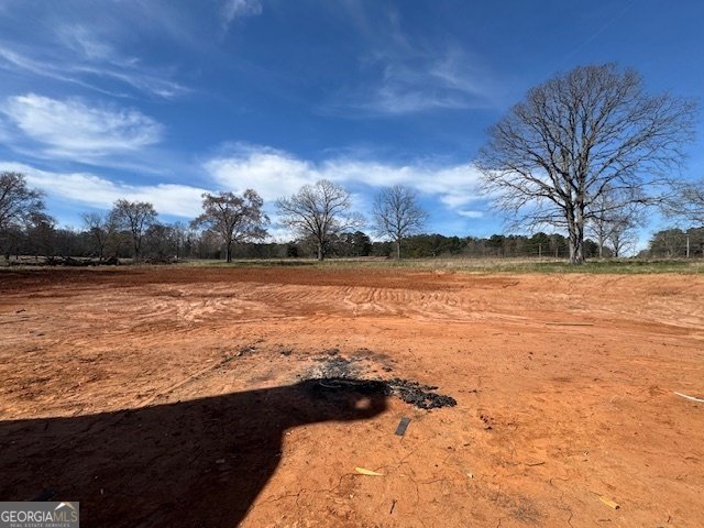470 Snead Road Fayetteville - 3