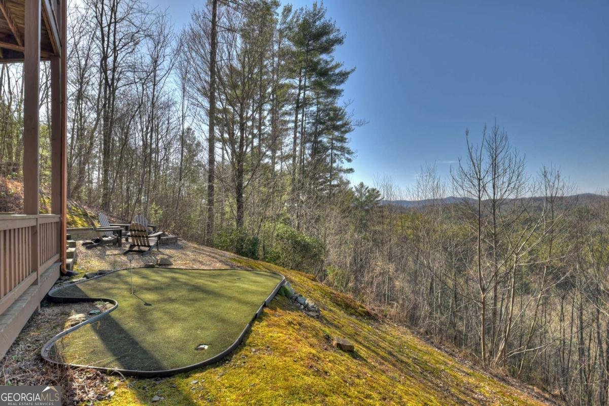 602 Laurel Creek Trail Blue Ridge - 42