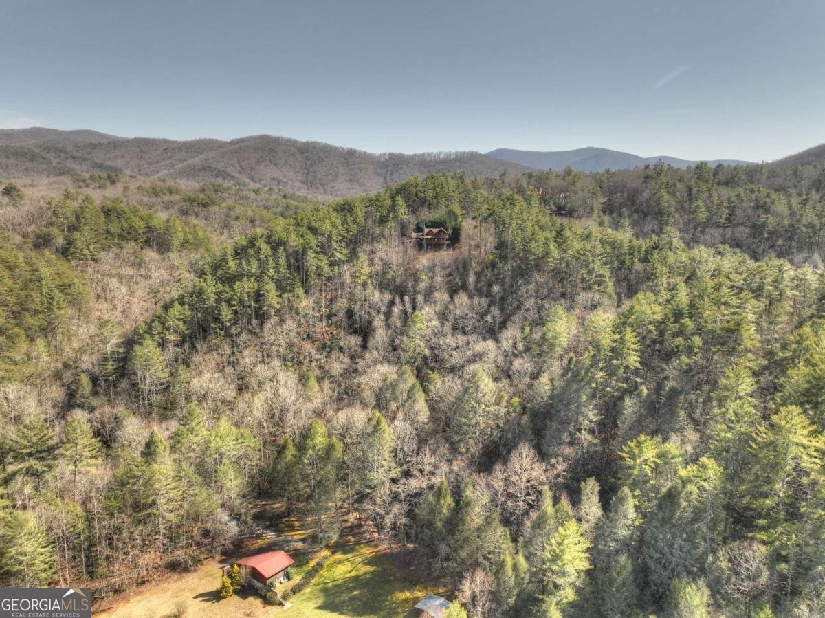 602 Laurel Creek Trail Blue Ridge - 47