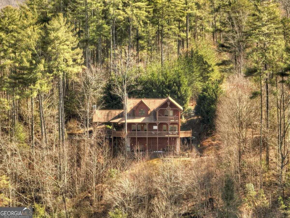 602 Laurel Creek Trail Blue Ridge - 48