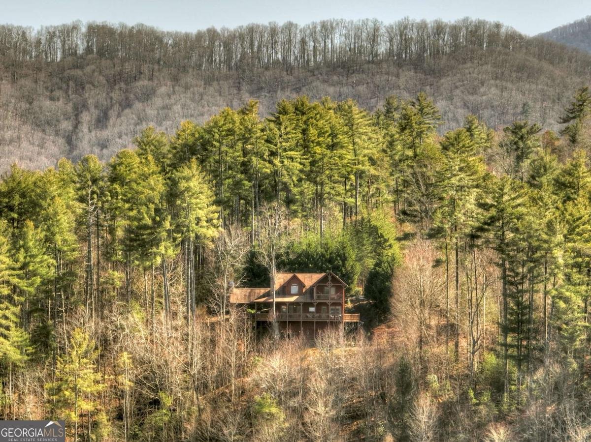 602 Laurel Creek Trail Blue Ridge - 49