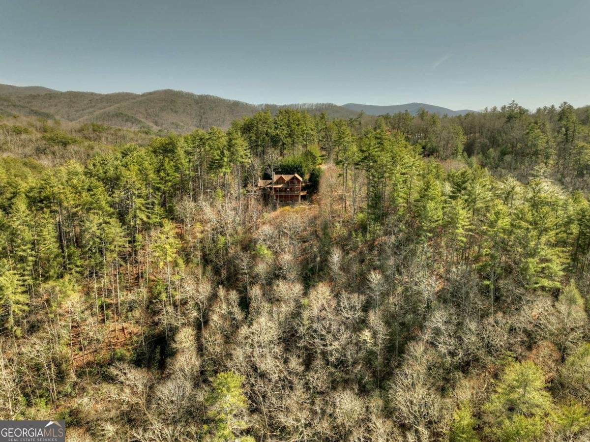 602 Laurel Creek Trail Blue Ridge - 50