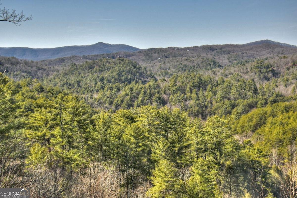 602 Laurel Creek Trail Blue Ridge - 54