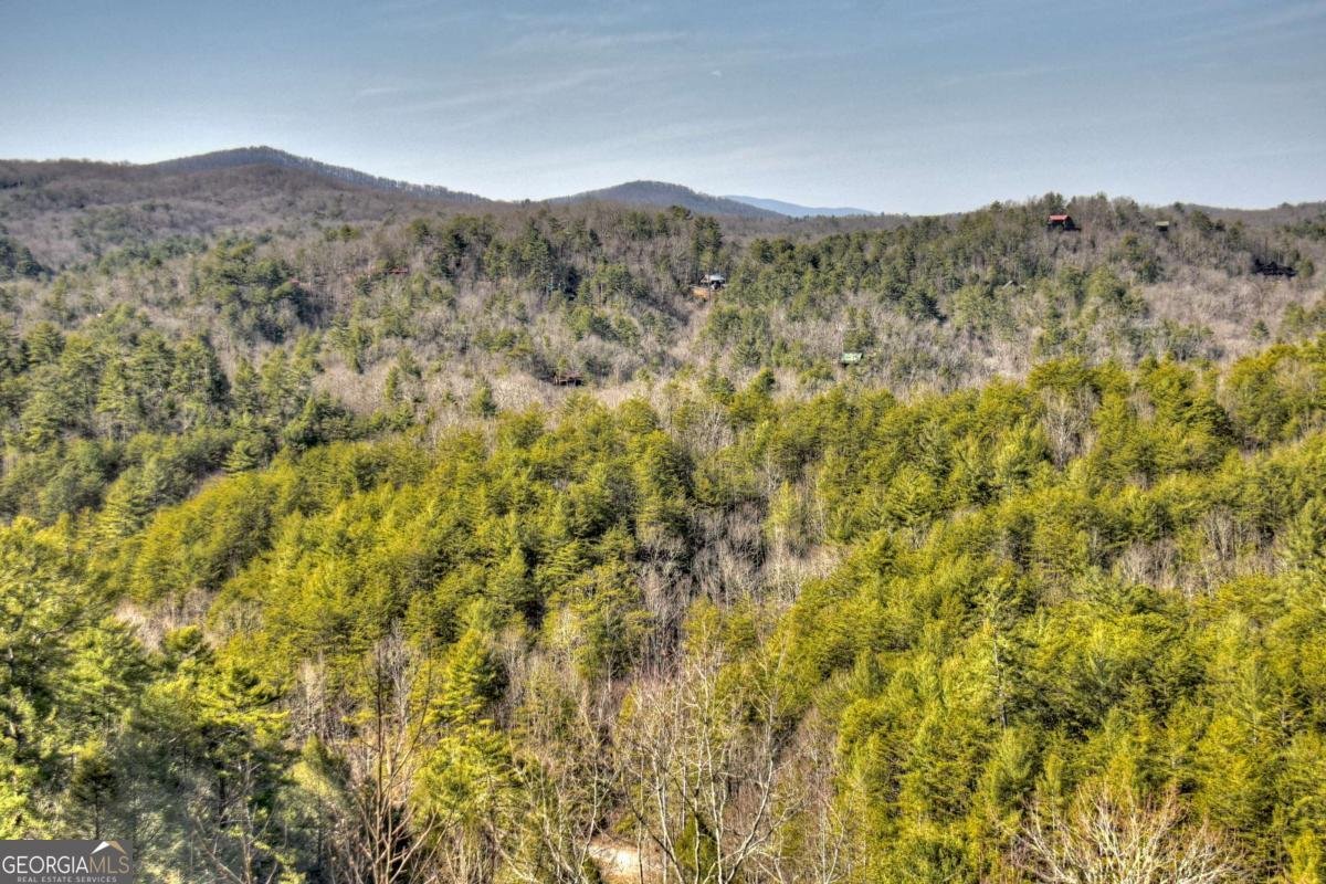 602 Laurel Creek Trail Blue Ridge - 55