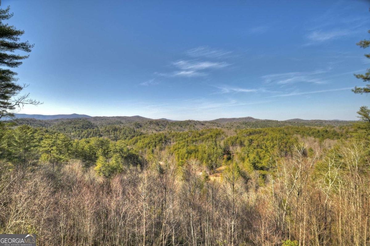 602 Laurel Creek Trail Blue Ridge - 56