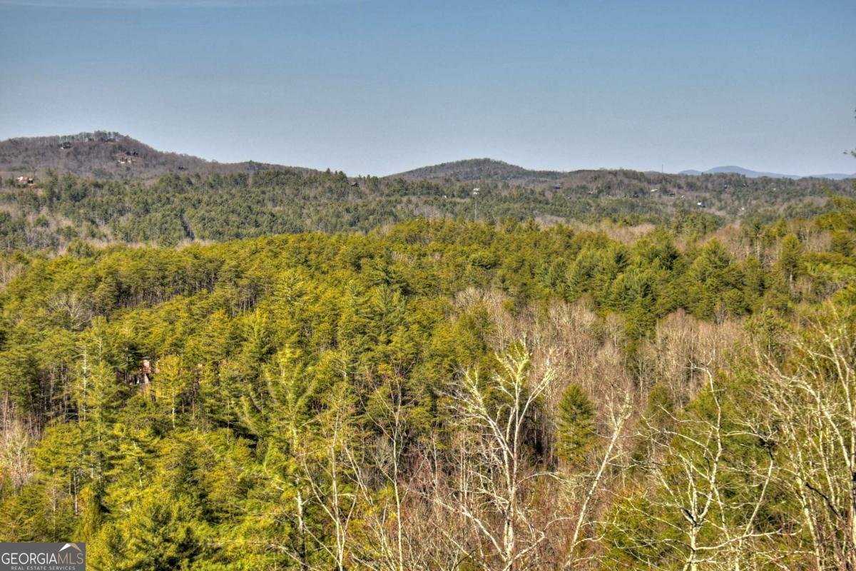 602 Laurel Creek Trail Blue Ridge - 57