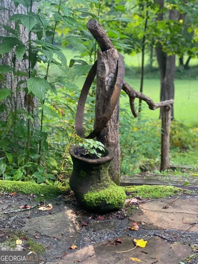 2594 Blue Ridge Gap Road Clayton - 77