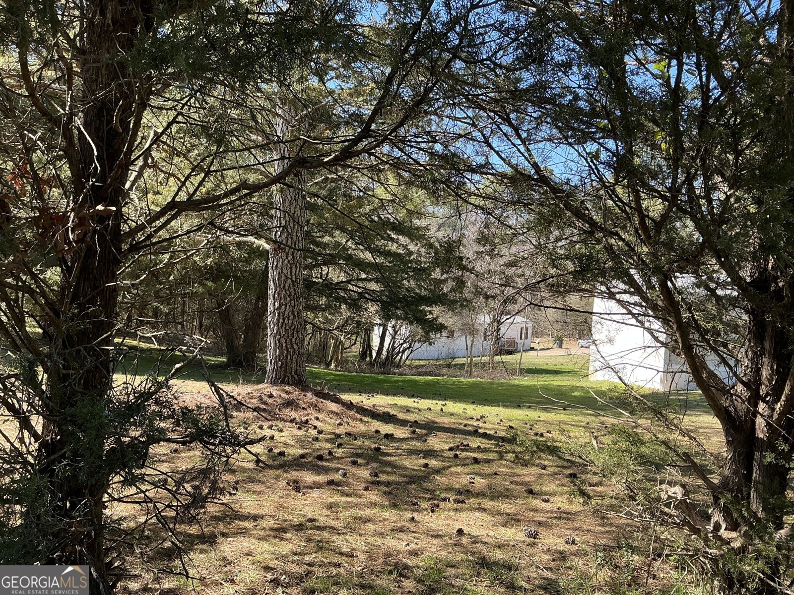 894 Wheeler Road Lafayette - 5