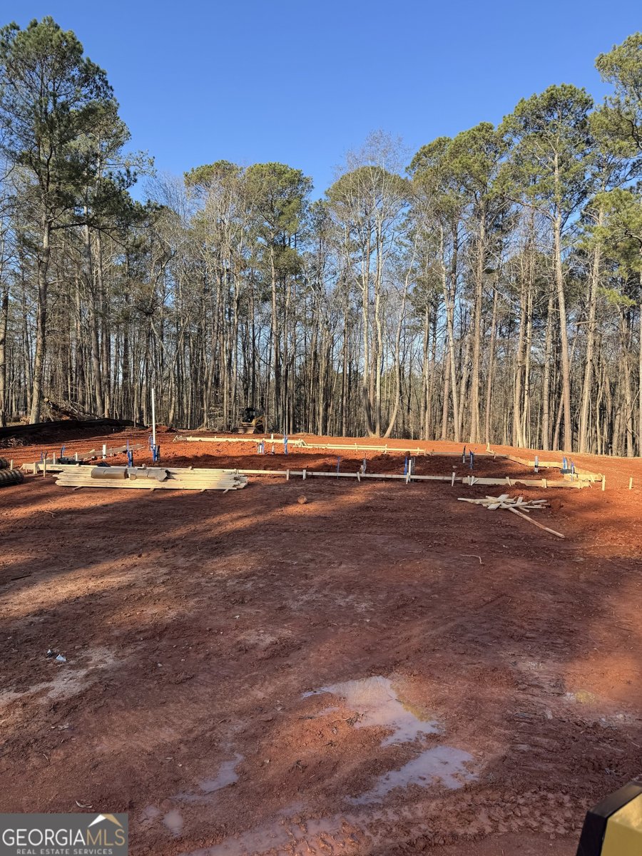 542 Palm Street Holly Springs - 4