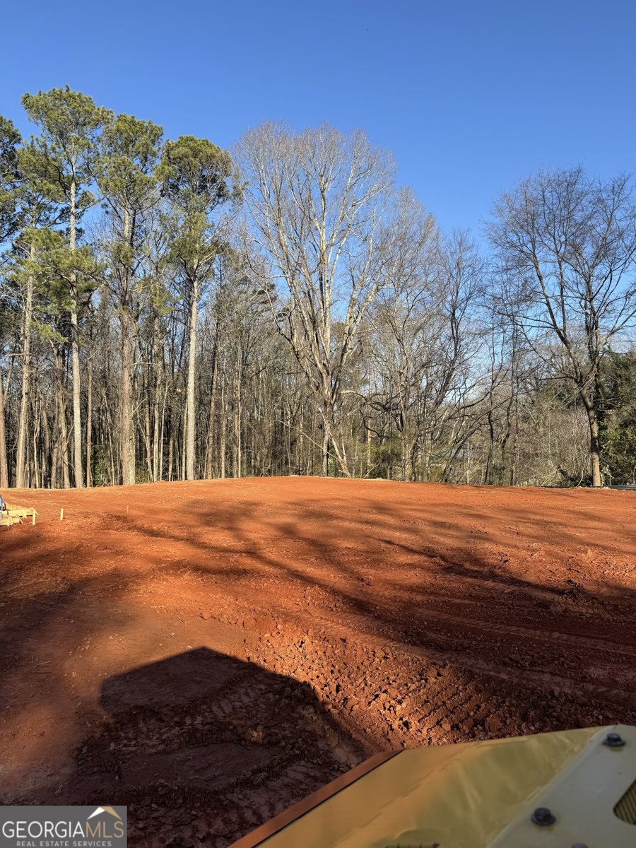 542 Palm Street Holly Springs - 5